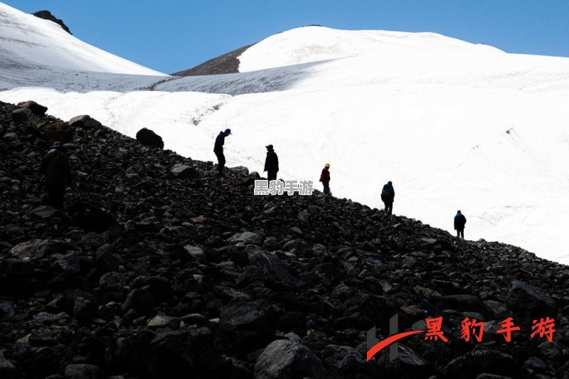 如何在挨饿的荒野雪山中巧妙设置陷阱？ - 黑豹手游网-3