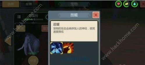 《创造与魔法：新手必备宠物推荐指南》 - 黑豹手游网-2