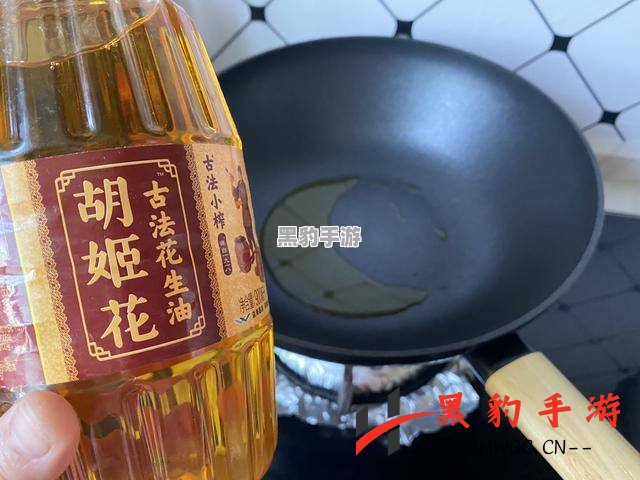 桃源记酱油：美味料理的秘密武器与独特用途揭秘 - 黑豹手游网-1