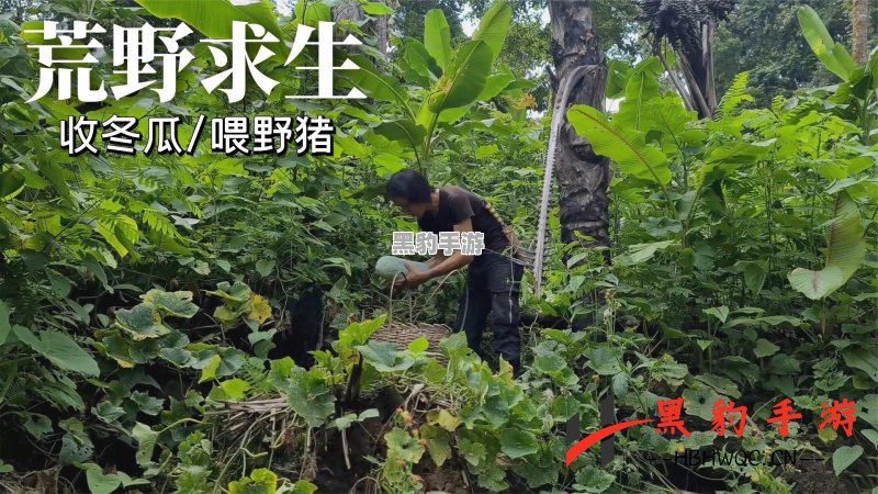 荒野求生：在饥饿中如何巧妙种植蔬菜