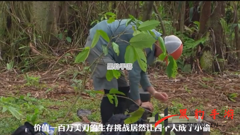 荒野求生：在饥饿中如何巧妙种植蔬菜 - 黑豹手游网-2