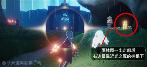 光遇：迷失在神秘雨林，如何才能走出重重迷雾？ - 黑豹手游网-2