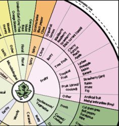 揭秘冒险公社罗盘的使用技巧与实用方法 - 黑豹手游网-2