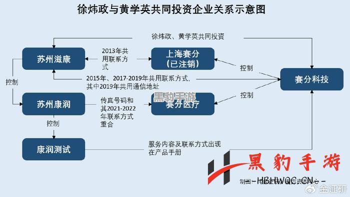 桃源记宗厅为何禁忌放置？深度探秘其背后原因！ - 黑豹手游网-3