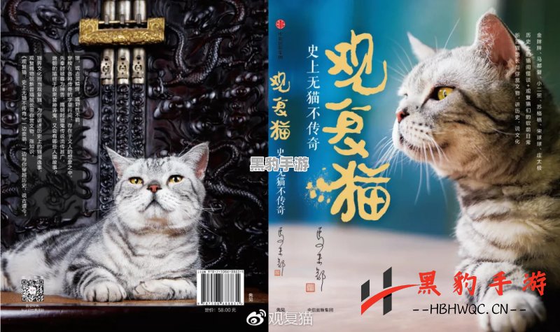 《探索猫灵相册商店：R级猫猫究竟值得购买吗？》 - 黑豹手游网-1