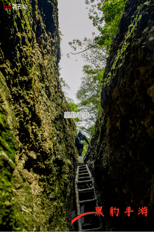 灵历十八年：解锁枫林山路崖洞的神秘谜题答案探秘 - 黑豹手游网-2