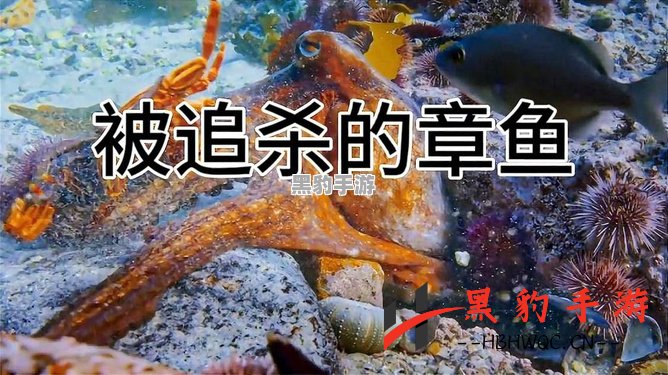 章鱼狩猎时刻：如何成功捕捉这神秘生物？ - 黑豹手游网-3