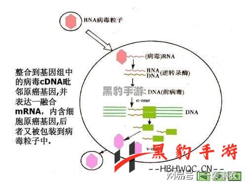 解密从细胞到奇点的进化历程：时间作弊如何改变未来？ - 黑豹手游网-3