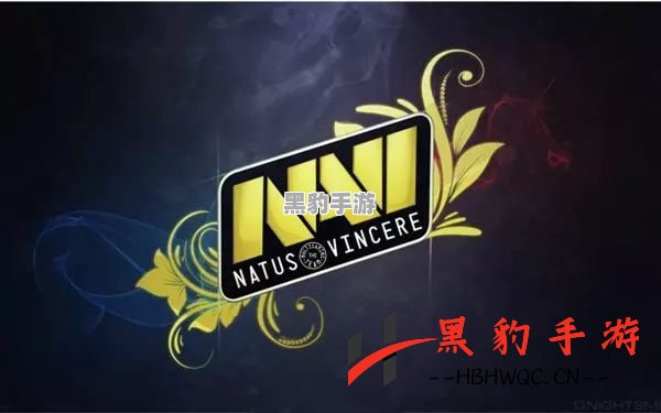 Navi战队：源自哪个国家的电竞传奇？ - 黑豹手游网-3