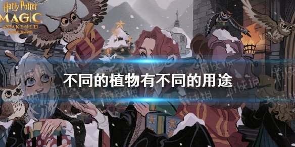 《哈利波特：魔法觉醒》中如何更换绚丽卡牌皮肤？ - 黑豹手游网-3