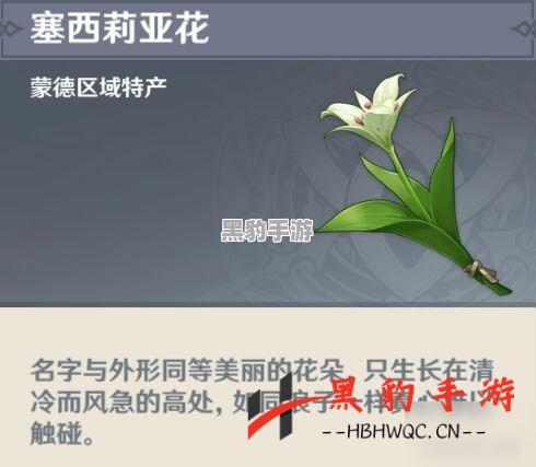 原神中的塞西莉亚花：用途与价值揭秘 - 黑豹手游网-3