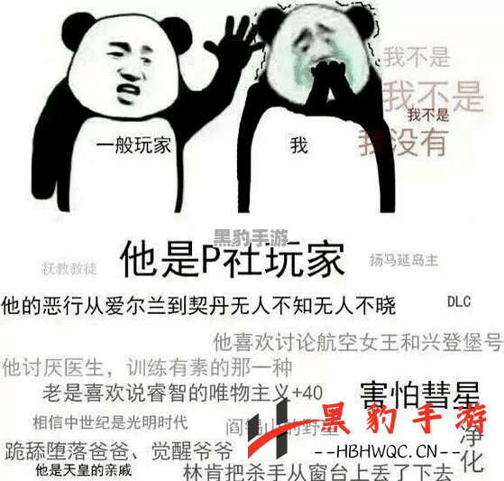 P社玩家热议：这个梗背后的深意是什么？ - 黑豹手游网-2