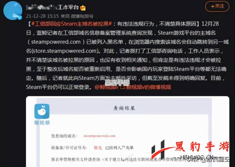 Steam因何原因被列入全球黑名单？探秘背后真相！ - 黑豹手游网-3