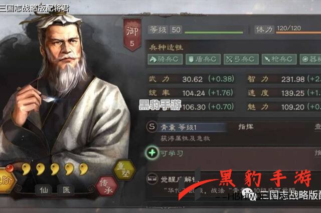 《三国志战略版：许攸阵容搭配的最佳策略解析》 - 黑豹手游网-1