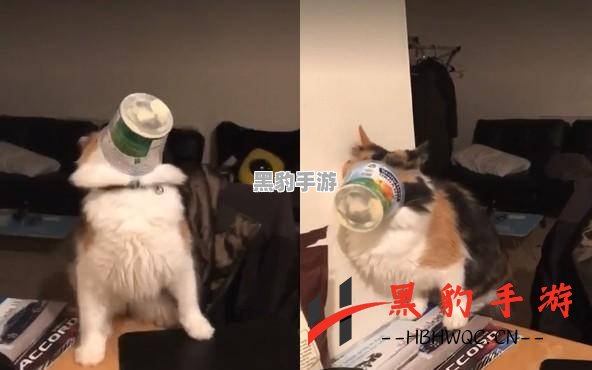 蛐蛐与美猴王的疯狂对决：你究竟该如何抓住它们？ - 黑豹手游网-2