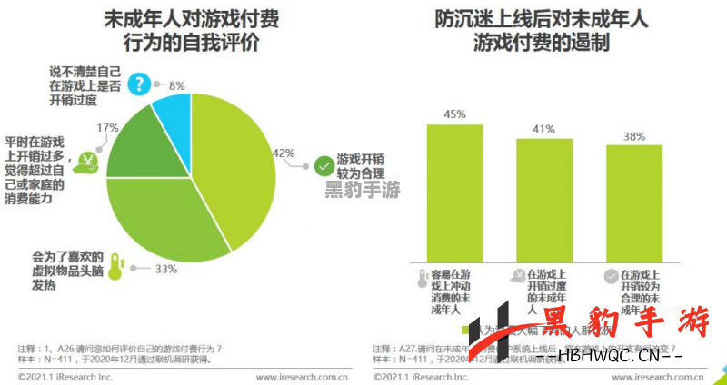 大多数人为何无法畅玩游戏？探究背后的原因与影响 - 黑豹手游网-2