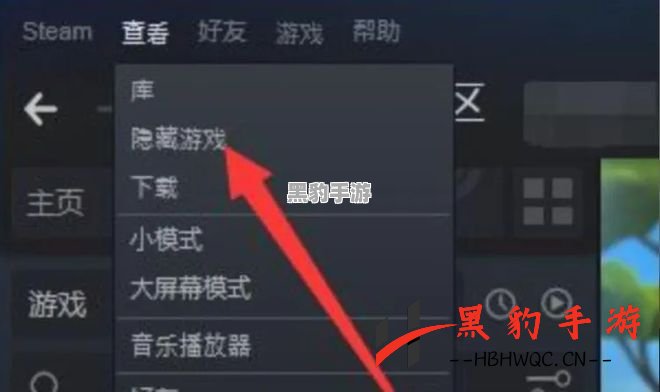 如何解决Steam手机版无法登录的问题？ - 黑豹手游网-1