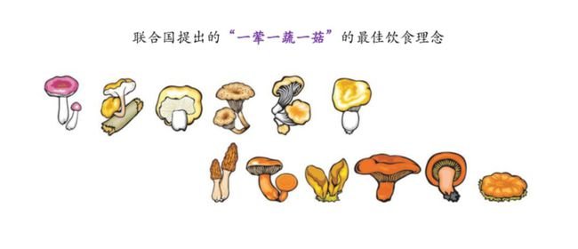 如此美妙的开局：揭示背后的趣味梗与深意 - 黑豹手游网-3