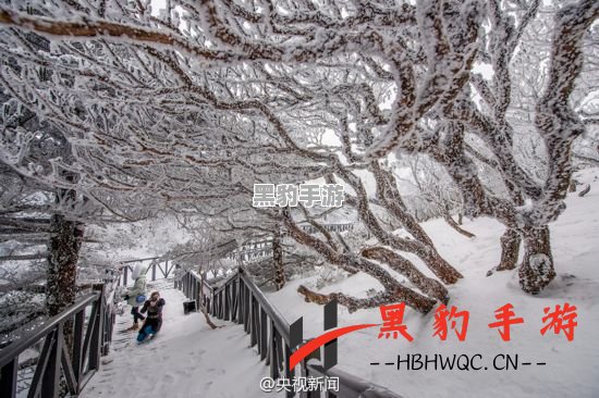 《忘雪：冰封世界中的心灵旅程》 - 黑豹手游网-1