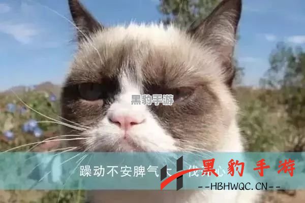 《开心斗猫猫：趣味与策略的完美结合》 - 黑豹手游网-1