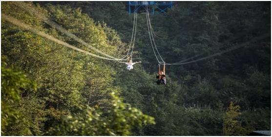 丛林小猪探险之旅：欢笑与挑战并存的游戏体验 - 黑豹手游网-3