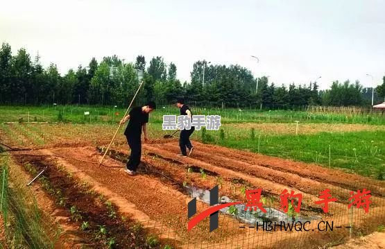 农场的一天：田园生活的真实体验与乐趣 - 黑豹手游网-1