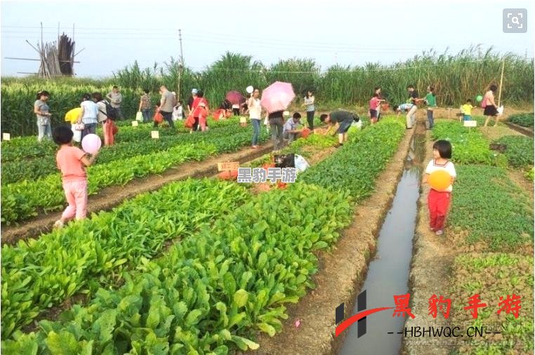 农场的一天：田园生活的真实体验与乐趣 - 黑豹手游网-3