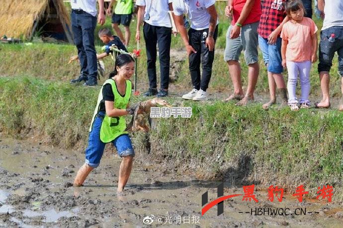 农场大探索：体验田园生活的乐趣与挑战 - 黑豹手游网-1