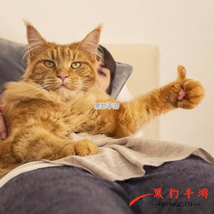 喵喵的勇气：一款关爱残疾猫咪的游戏评测 - 黑豹手游网-2